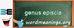 WordMeaning blackboard for genus episcia